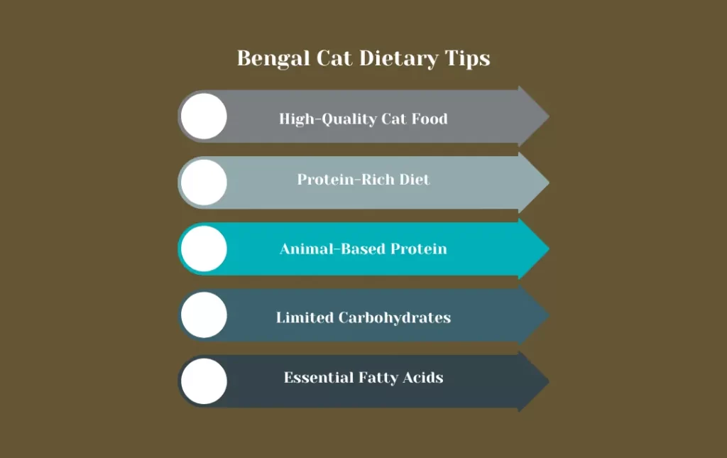 Bengal Cat Dietary Tips