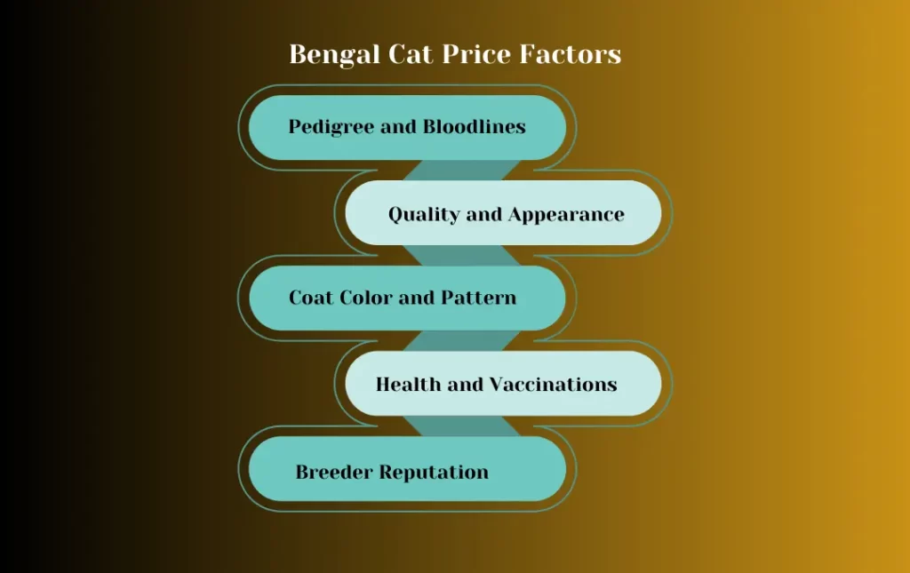 Factors Influencing Bengal Cat Price Singapore