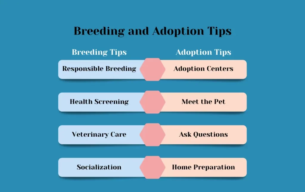 Responsible Breeding and Adoption Tips