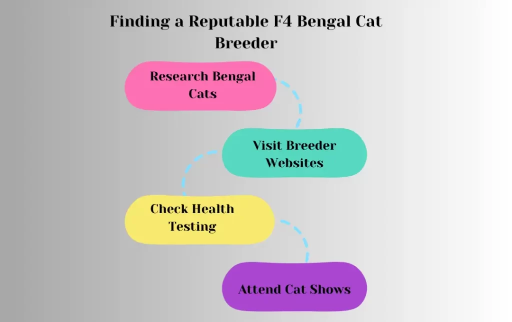 Tips for Keeping Your F4 Bengal Healthy