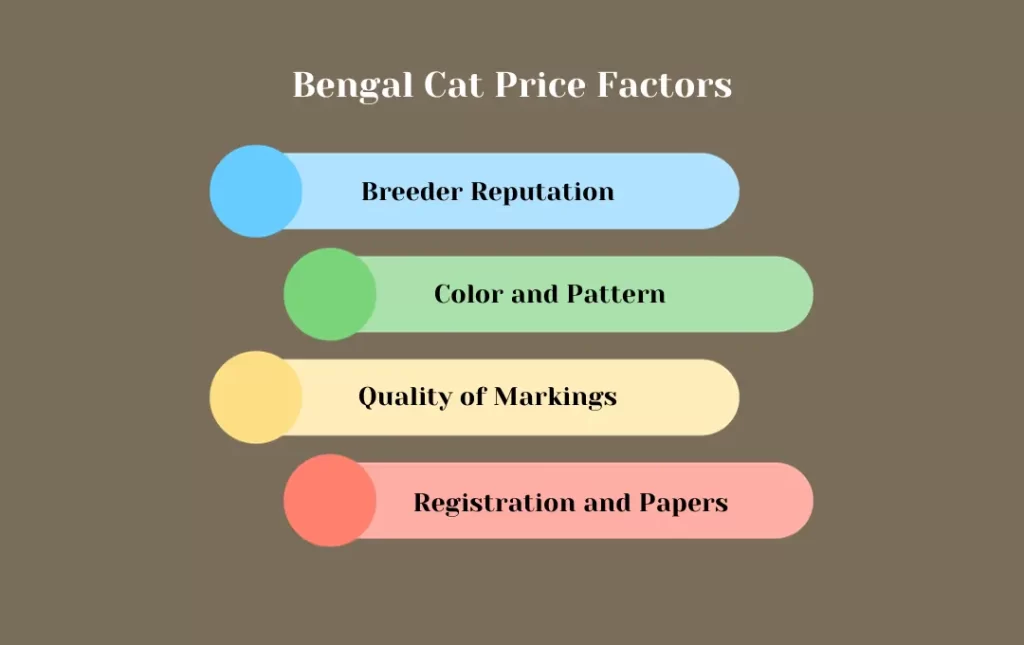Bengal cat price determinants