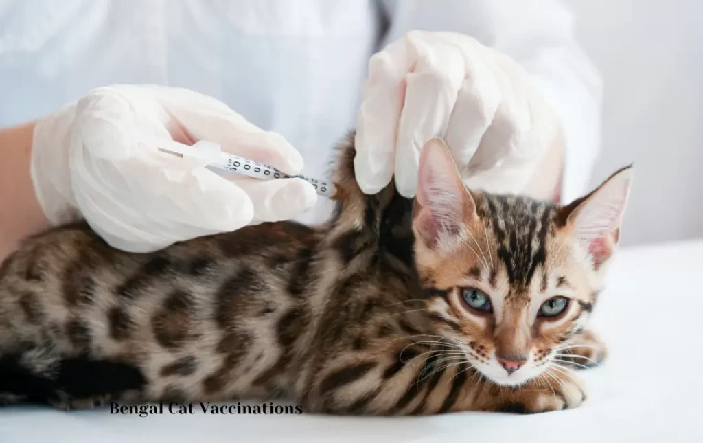 Vaccinations and Veterinary Care