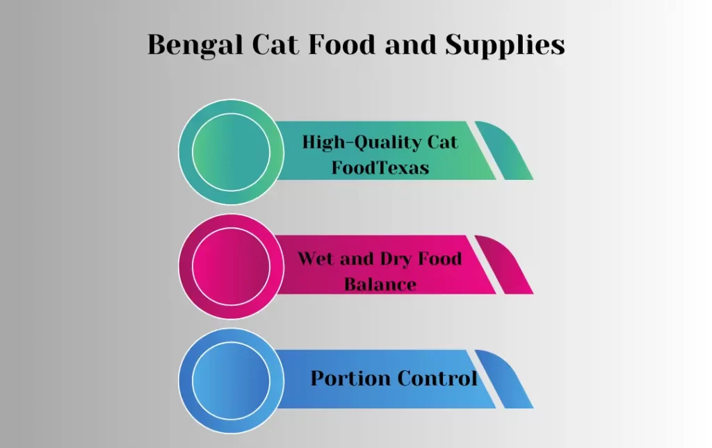 Bengal Cat Food and Supplies