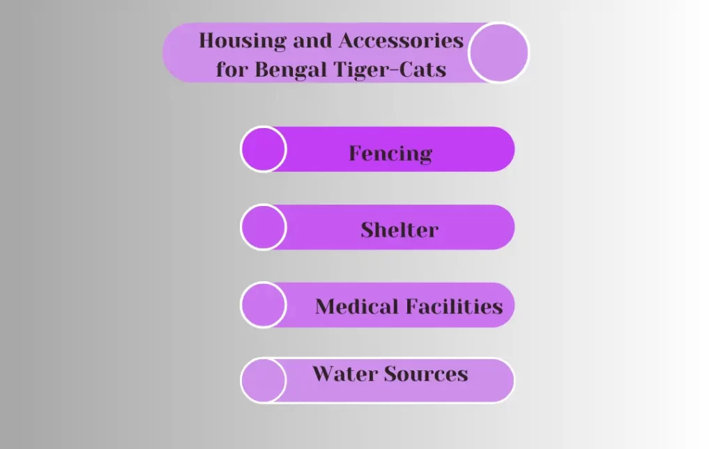 Housing and Accessories for Bengal Tiger-Cats