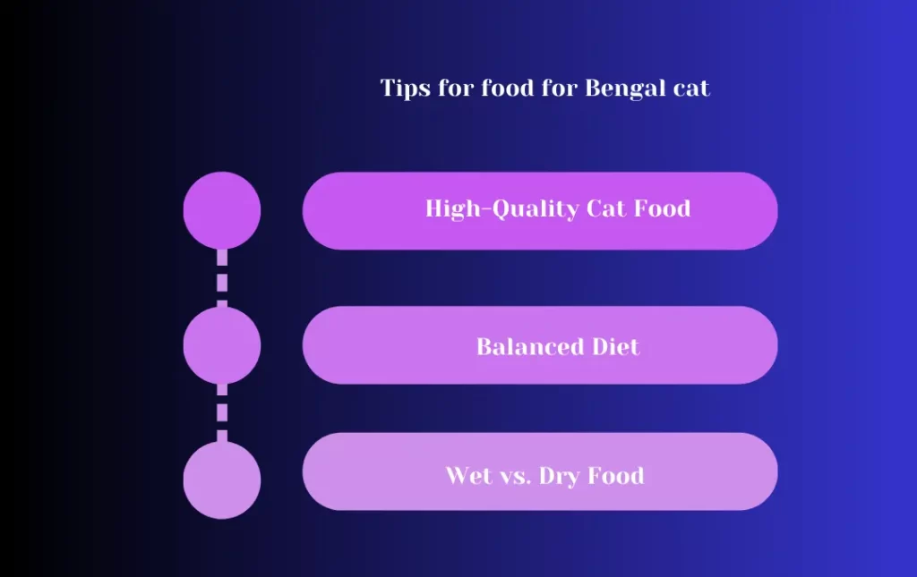 Tips for food for Bengal cat