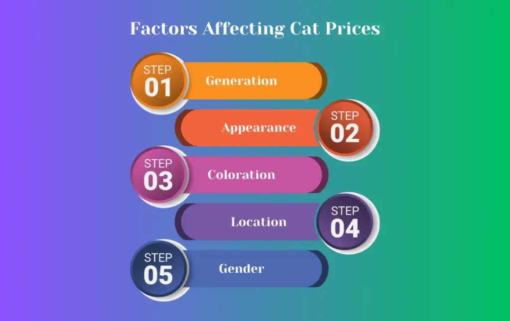 Factors Affecting Savannah Bengal Cat Prices