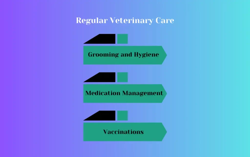 Bengal Cats Veterinary Care
