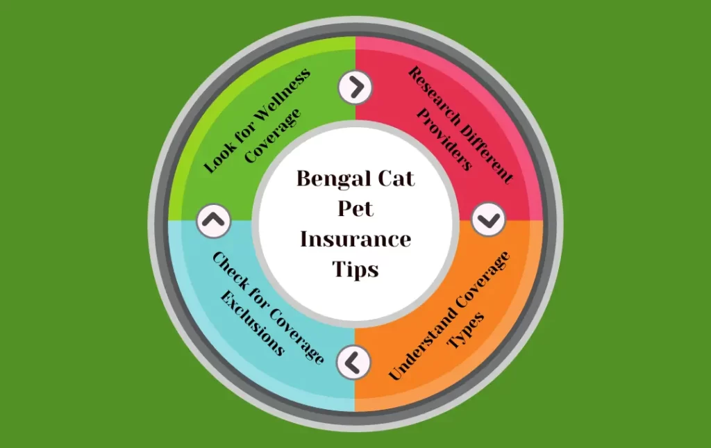 Pet Insurance tips
