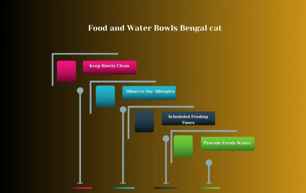 Food and Water Bowls