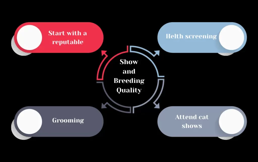 Show and Breeding Quality