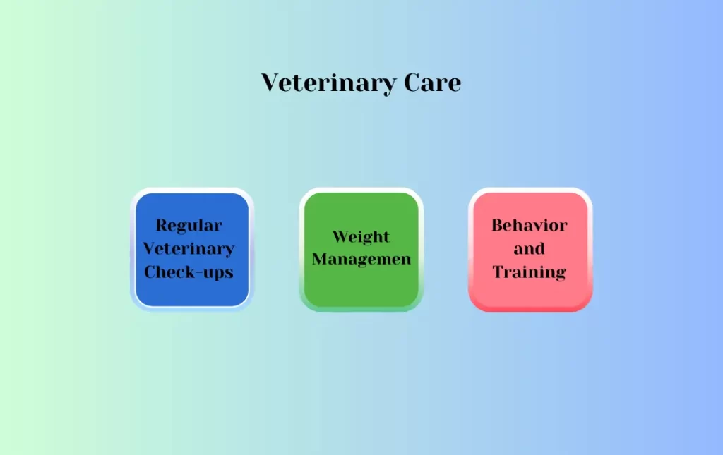 Veterinary Care: