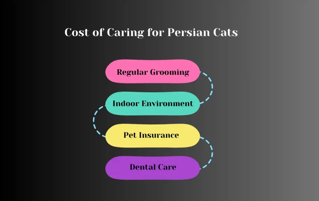 The Cost of Caring for Persian Cats
