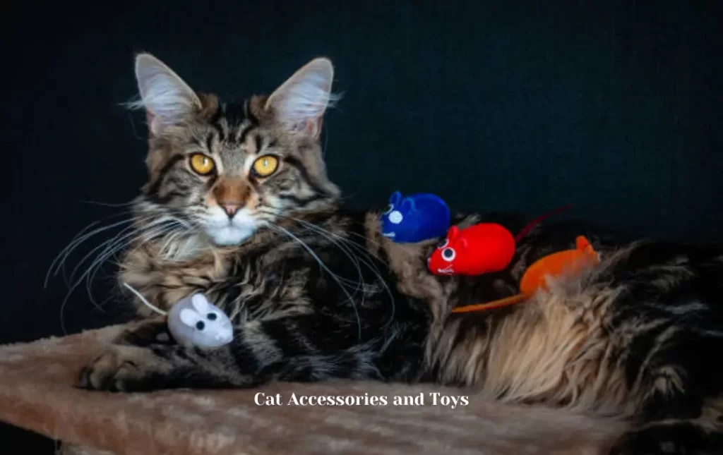 Cat Accessories and Toys