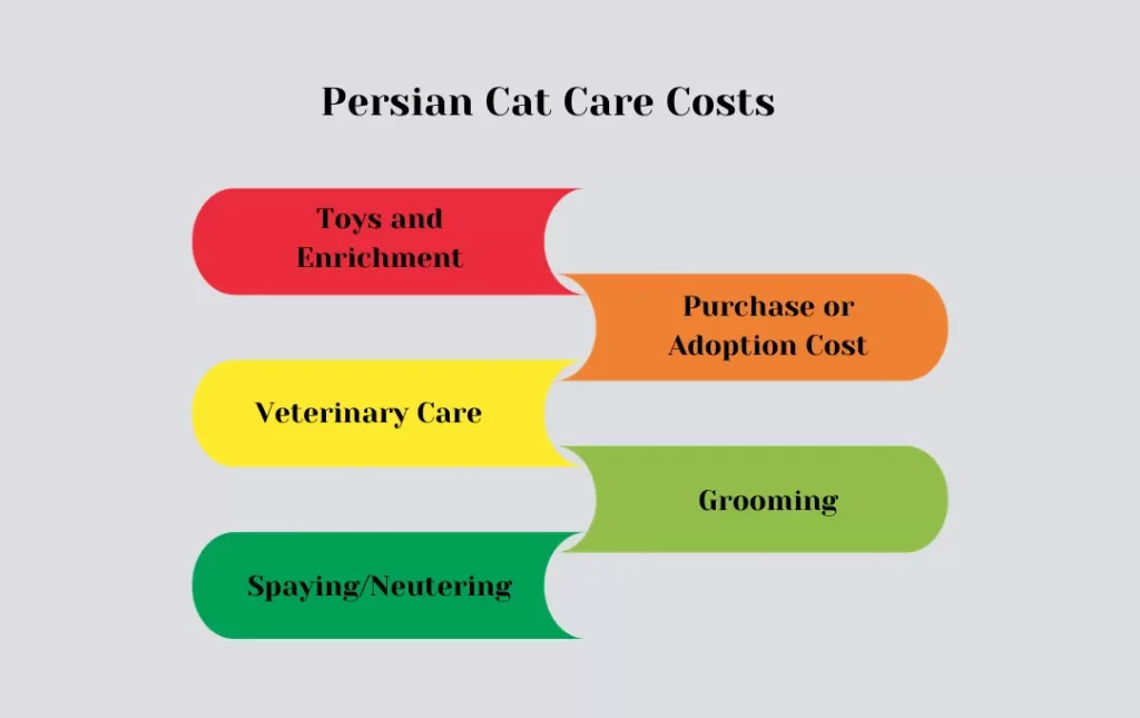 The Cost of White Persian Cat Care infographics