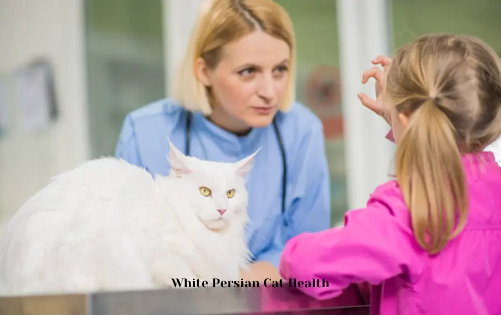Health Considerations for White Persian Cats