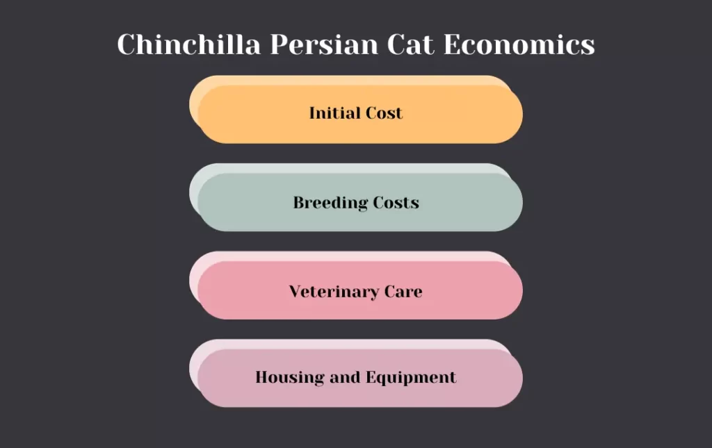 Chinchilla Persian Cat Economic Factors