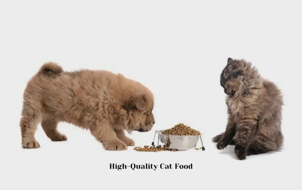 High-Quality Cat Food