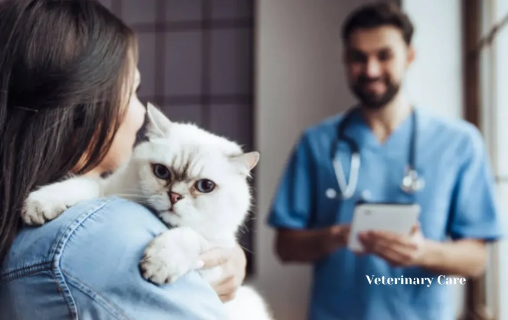 Health Monitoring and Veterinary Care